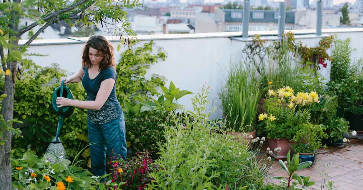 Urban Gardening G Rtnern In Der Stadt Silberherzen De