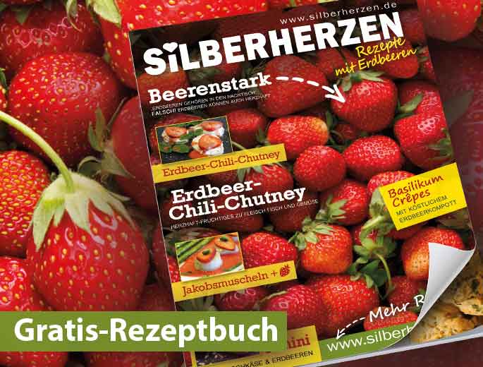 Gratis Rezeptbuch Erdbeeren