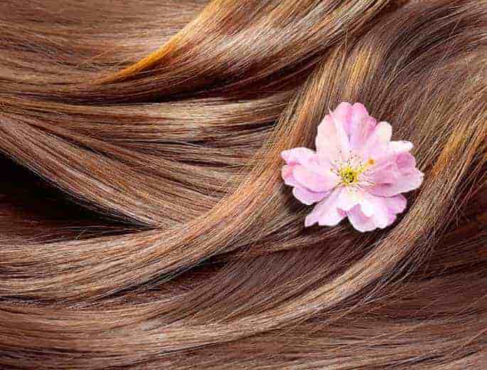 Glatte Haare Blume