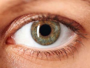 Augen selten graue Augen schminken: