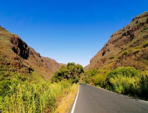 Gran Canaria Guayadque Schlucht