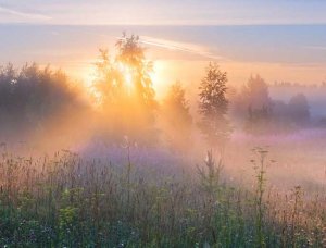 Magic Mornings Neblige Landschaft am Morgen