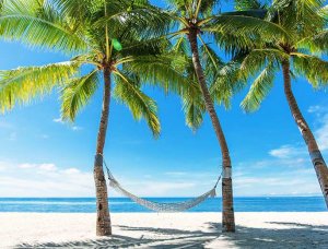 Entspannen Strand mit Palmen und Hängematte