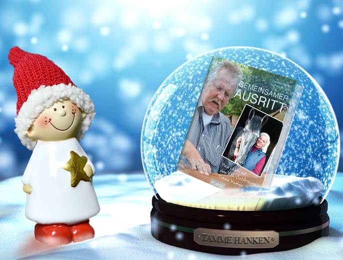 Rezept für Gorgonzola-Involtini. Leckere italienische Rouladen.