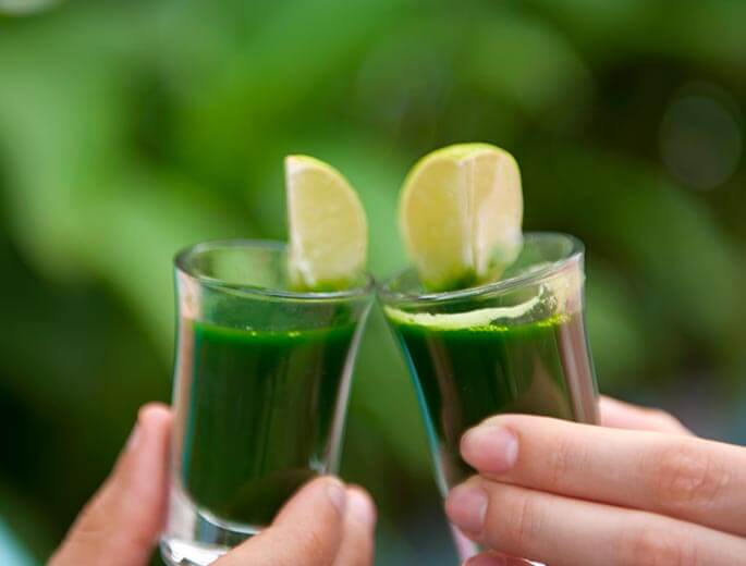 Ayuverda Fasten Smoothie