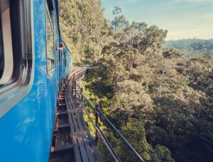 Zugfahrt durch Wald Grünes Reisen