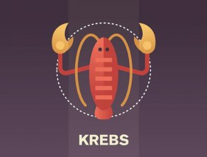 Sternzeichen Krebs