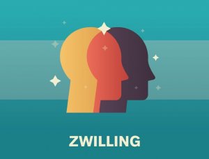 Sternzeichen Zwilling